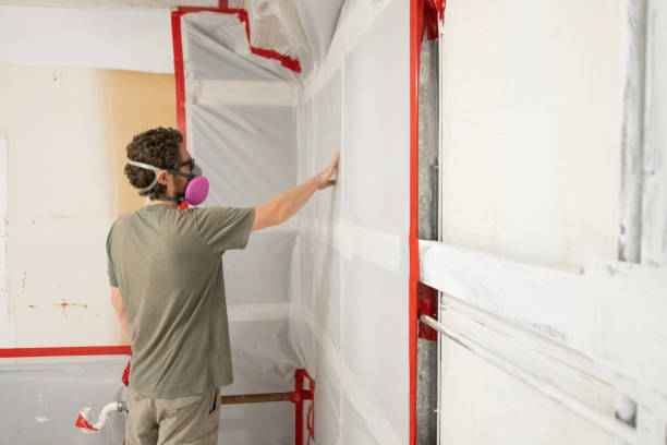 Best Commercial Mold Inspection  in Attleboro, MA